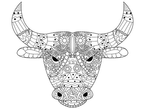 Head bull coloring vector for adults