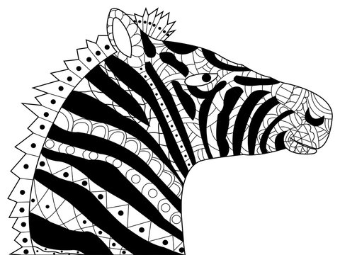 Head Zebra Coloring Vector For Adults