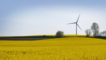 wind turbines in Sweden © Mikael Damkier