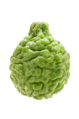 kaffir lime