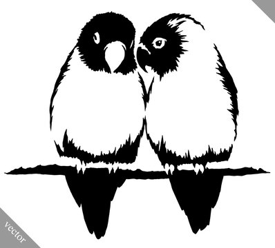 black and white paint draw parrot bird vector illustration
