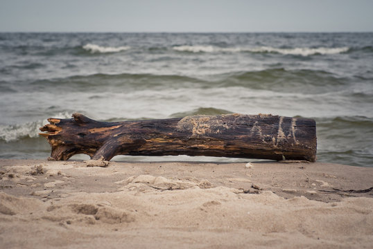 Fototapeta Na bałtyckiej plaży