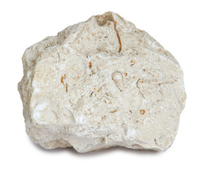 Limestone with inclusions of sea shells. Limestone is a sedimentary rock composed largely of the...