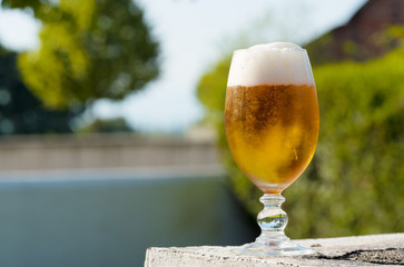 glass of beer with foam and the sun