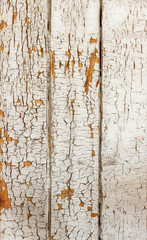 Vintage grungy white background of natural wood or wooden old texture