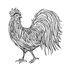 Hand drawn outline rooster illustration. Decorative outline hand drawn in zentangle style. Sketch for adult antistress coloring page. symbol of the 2017 year