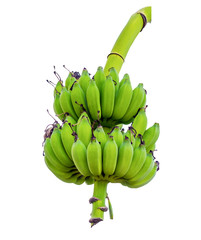 bundle green banana white background © Mumemories