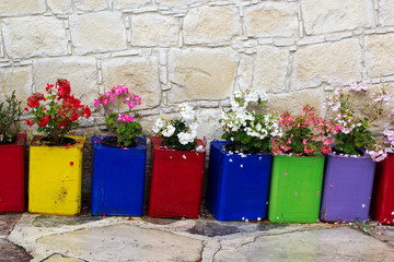 Colorful pots with flowers near brick wall