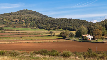 Landscape near Santa Pau