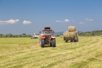 Obraz premium Tractor collecting straw bales