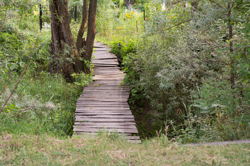 Wooden planks path over the ditch