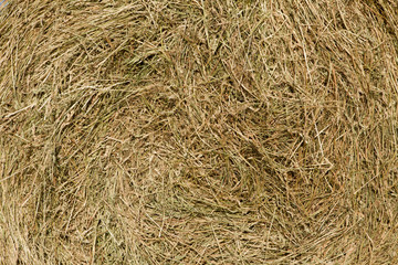 Natural background of hay