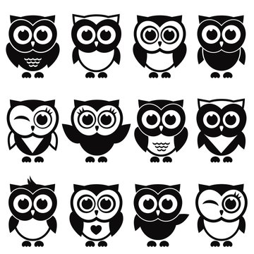 Funny black and white owls and owlets