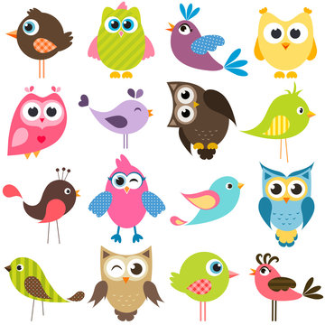 set of funny colorful birds