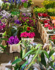 A flower shop, seen in Amsterdam, Netherlands. Beautiful colorful flowers outdoor