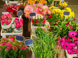 A flower shop, seen in Amsterdam, Netherlands. Beautiful colorful flowers outdoor