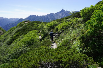 樅沢岳　山頂　眺望　北アルプス　登山　山道　空　絶景　雲海　