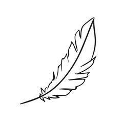 Vector Illustration of a Hand Drawn Feather Doodle