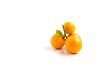 Orange Kumquat placed on white background