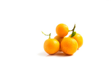 Orange Kumquat placed on white background