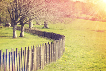 Fototapeta premium Wooden Fence