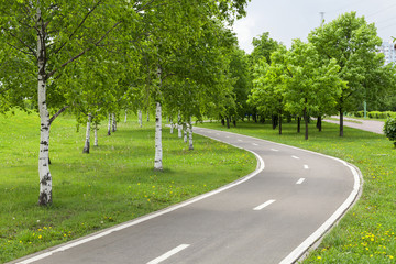 Walking bike path in the park. Bike road in nature. Bike trail. Road for bicycles surrounded by nature.