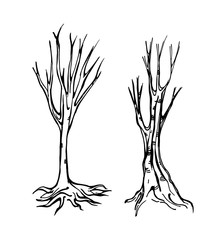 Two ink trees