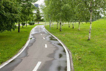 Walking bike path in the park. Bike road in nature. Bike trail. Road for bicycles surrounded by nature.