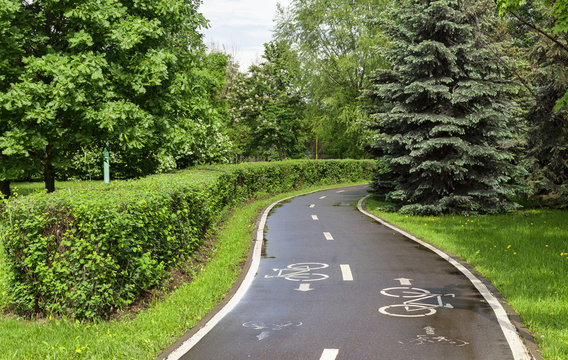 Walking bike path in the park. Bike road in nature. Bike trail. Road for bicycles surrounded by nature.