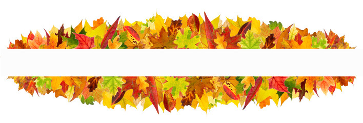 Colorful autumn leaves frame, isolated on white background.
