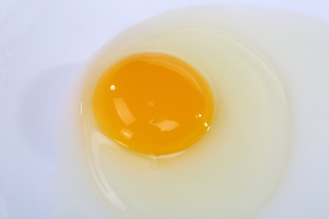 Yellow yolk close up shot.