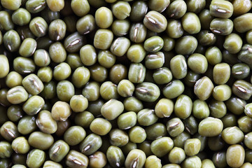 green bean background.