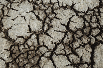 cracks in the ground,white soil