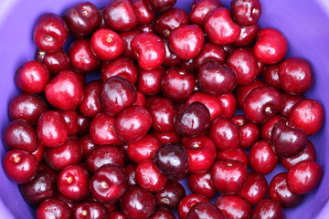 Cherry