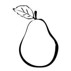 Hiqh quality pear drawn in outline isolated on white background