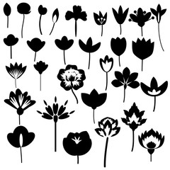 Flowers decorative set