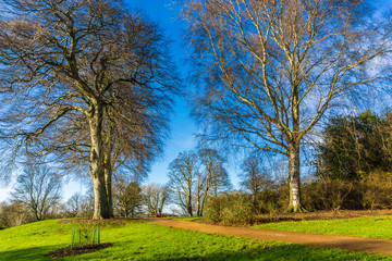 Public royal botanic spring garden green grass and tree