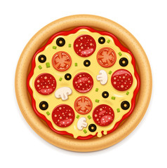 Vector detailed hot pizza with sticky cheese and salami icon