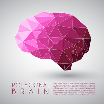 Abstract Polygonal Brain Shape : Vector Illustration