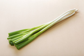 長葱　Green Onion