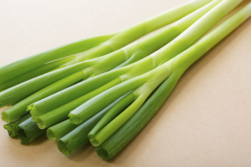 長葱　Green Onion
