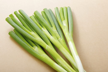 長葱　Green Onion