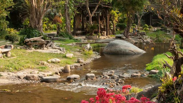 River flows thru the jungle