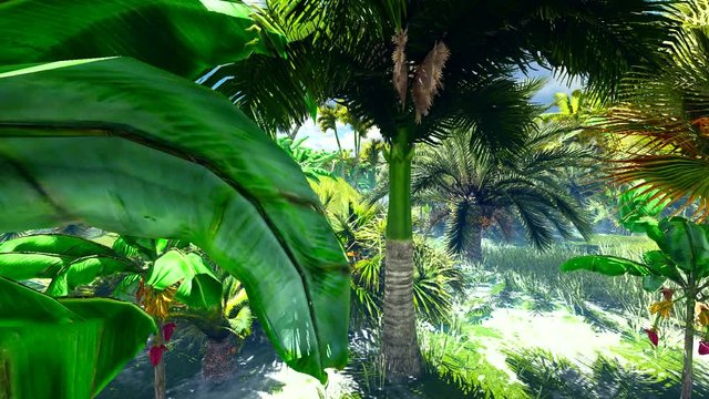 Tropical jungle animation