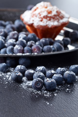  blueberry and cupcake