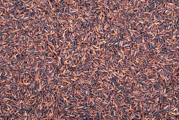 Rice berry, Brown rice background