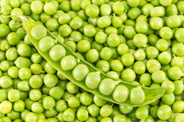 Fresh raw organic peas ready for cooking
