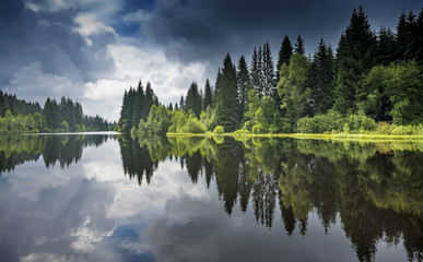 Lac dans une forêt,Sumava - parc national, République Tchèque, Europe
