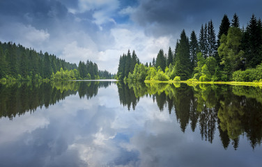 meer in een bos, Sumava - nationaal park, Tsjechië, Europa