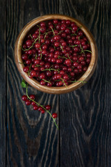Fresh red currants